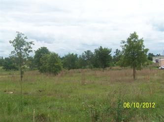 8138 Hwy 265, Mount Croghan, SC 29727 