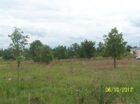 8138 Hwy 265, Mount Croghan, SC 29727 