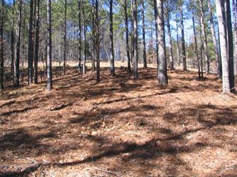 401 Top Ridge Drive, Sunset, SC 29685 