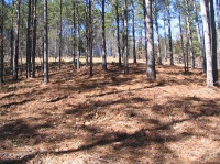 401 Top Ridge Drive, Sunset, SC 29685 