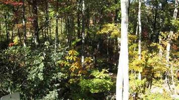 Cliffs At Mt Park Lot 179 (Apn# 066, Marietta, SC 29661 