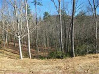 Cliffs Mtn Park Sec 1 Lot 56 (Apn#, Marietta, SC 29661 