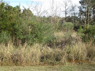 Lot 13 Old Rosebud Trail, Mt Pleasant, SC 29466 