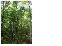 0 SAVANNAH HWY, Adams Run, SC 29426 