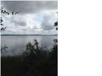 1 PECANETTA RD, Wadmalaw Island, SC 29487 
