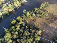 0 DOGWOOD RIDGE RD, Summerville, SC 29485 