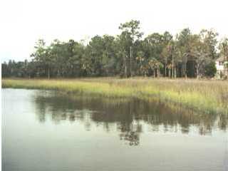 2143 SHELL RING CIR, Mount Pleasant, SC 29466 