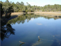 1 TOOGOODOO RD, Meggett, SC 29449 