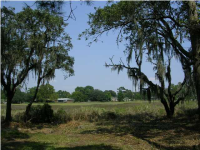 248 WAPPOO RD, Charleston, SC 29407 