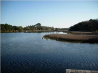 6556 BEAGLE CLUB RD, Yonges Island, SC 29449 