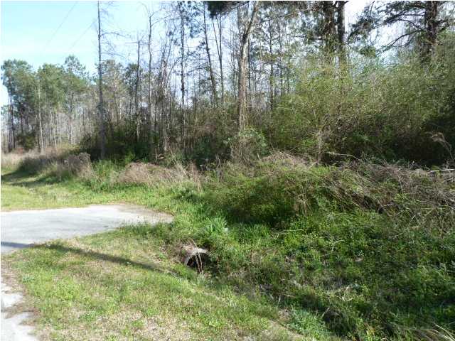 0 ANDERSON RD, Adams Run, SC 29426 