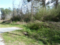 0 ANDERSON RD, Adams Run, SC 29426 