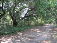 0 SLIM RD, Wadmalaw Island, SC 29487 