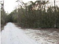 0 LUCYS LN, Mount Pleasant, SC 29466 