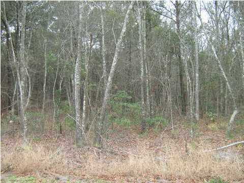 0 OLD GEORGETOWN RD, Mount Pleasant, SC 29466 