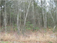 0 OLD GEORGETOWN RD, Mount Pleasant, SC 29466 