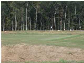 500 SILVER CYPRESS CIR, Summerville, SC 29485 