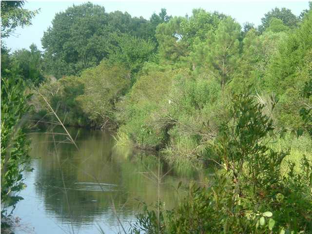 0 WALKING HORSE LN, Meggett, SC 29449 