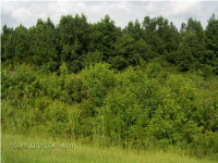 0 HWY 52, Moncks Corner, SC 29461 