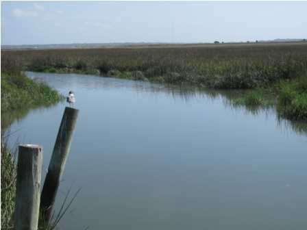 356 SWEETGRASS CREEK ROAD, James Island, SC 29412 