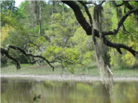 2941 ANCHOR WATCH DRIVE, Wadmalaw Island, SC 29487 