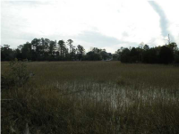 1960 SHIELDS LN, Mount Pleasant, SC 29466 