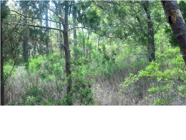 1488 COLES RD, Johns Island, SC 29455 