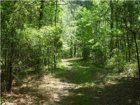 0 MAUSS HILL RD, Adams Run, SC 29426 