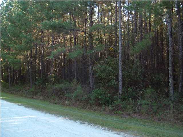 0 VINTAGE LN, Summerville, SC 29483 