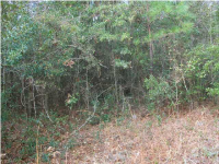 5820 ELIZABETH WASHINGTON LN, Ravenel, SC 29470 