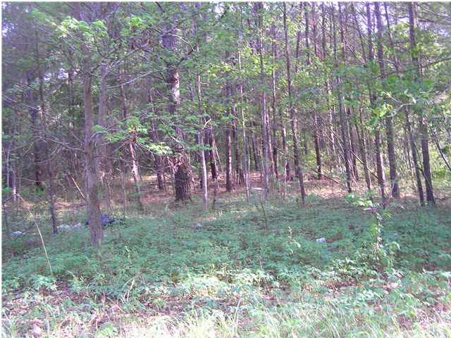 0 LEGAREVILLE RD, Johns Island, SC 29455 