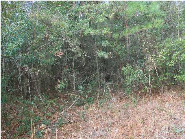 5816 ELIZABETH WASHINGTON LN, Ravenel, SC 29470 