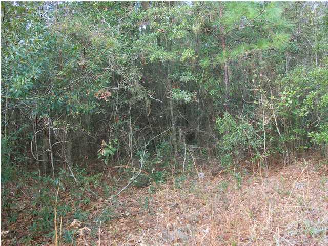 5808 ELIZABETH WASHINGTON LN, Ravenel, SC 29470 