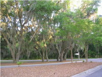 0 SEASIDE PLANTATION DR, Charleston, SC 29412 