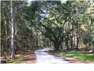 6 BOHICKET ESTATES DR, Johns Island, SC 29455 