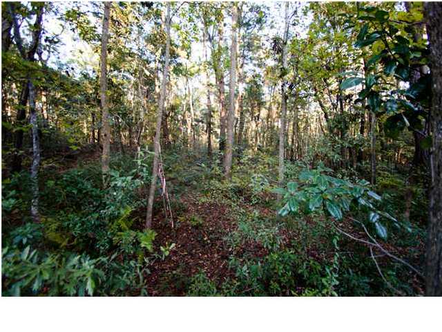 462 YELLOW HOUSE PL, Wando, SC 29492 