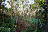 462 YELLOW HOUSE PL, Wando, SC 29492 