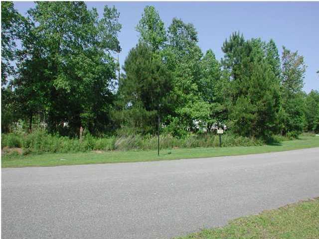 0 WHITE HERON PLACE, Charleston, SC 29414 