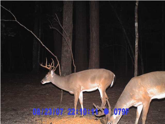 3 GOLDEN RICE LN., Ravenel, SC 29470 