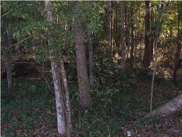 0 PRYORS LN, Summerville, SC 29485 