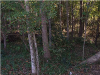 0 PRYORS LN, Summerville, SC 29485 