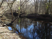 0 SPRINGBROOK CT, Summerville, SC 29485 