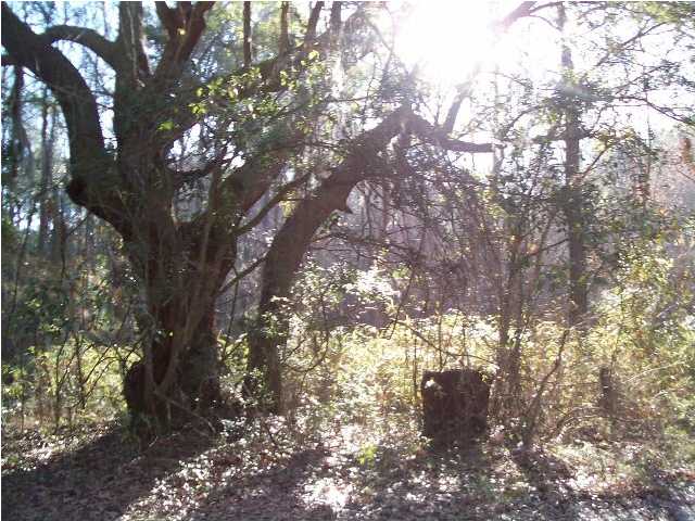 2909 CLEMENTS FERRY RD, Wando, SC 29492 