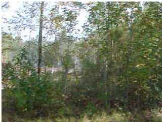 15 KNIGHT DR, Summerville, SC 29483 