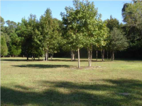 3 RICE HOPE, Ravenel, SC 29470 