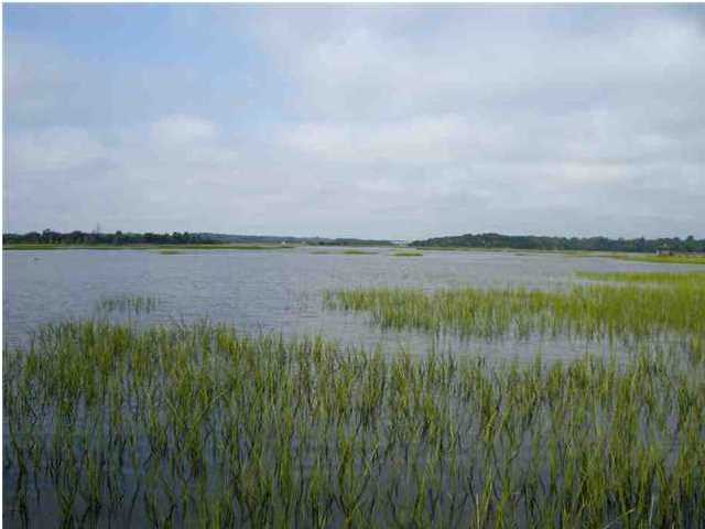 0 EGRET LN, Charleston, SC 29414 