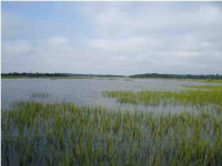 0 EGRET LN, Charleston, SC 29414 