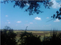 0 YELLOW HOUSE PL, Cainhoy, SC 29492 