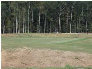 165 SILVER CYPRESS CIR, Summerville, SC 29485 