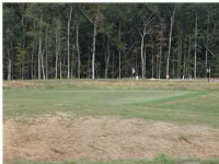 165 SILVER CYPRESS CIR, Summerville, SC 29485 